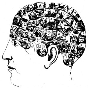 This is your brain on blogs