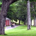 Return from a ramble (1)