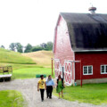 Return from a ramble (2)