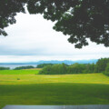 View to the lake (1)