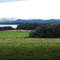 View to the lake (3)