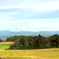 View to the lake (4)